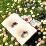 Focus Light With Philips Driver In 24W For Turnkey Companies