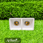 False Ceiling Light Dual Recessed COB Spotlight